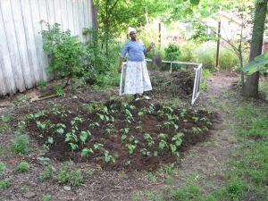 nanyuria with her squash plants